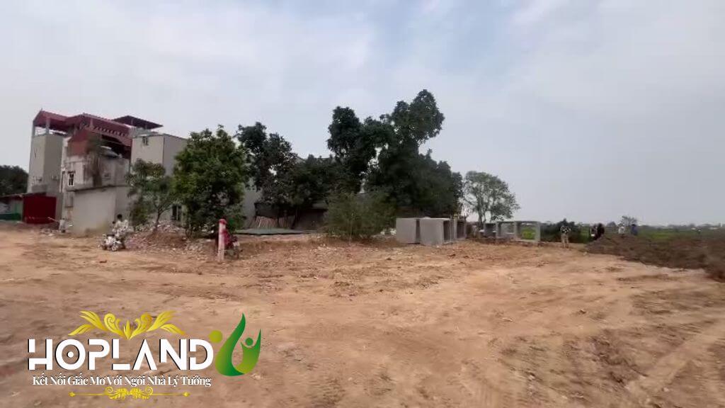 Nguyễn Quang Hợp - Dự Án Đất Nền Cổ Loa Đông Anh